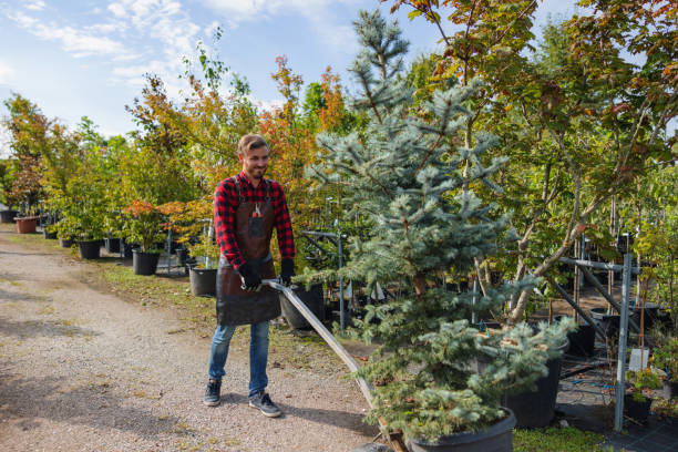 Best Tree Trimming and Pruning  in Passapatanzy, VA